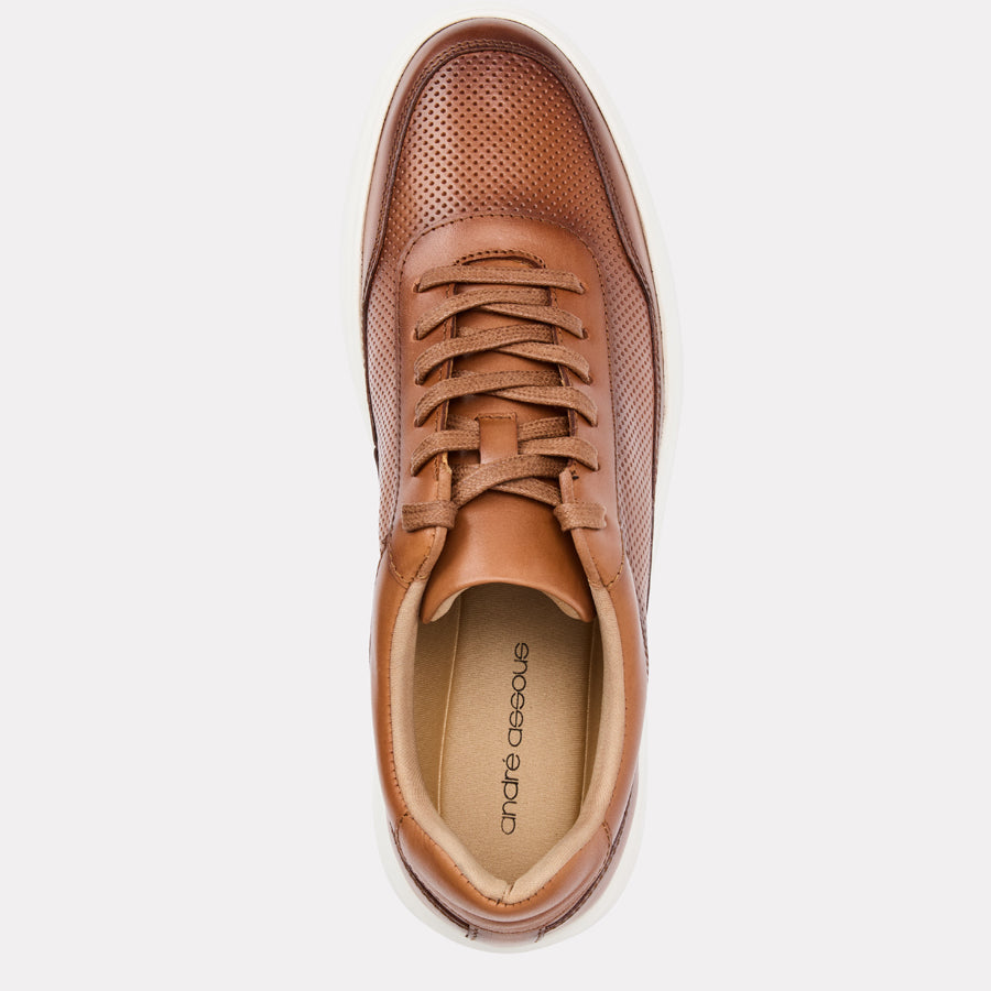 Andrew Sneaker