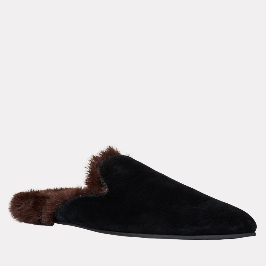 Daria Flat