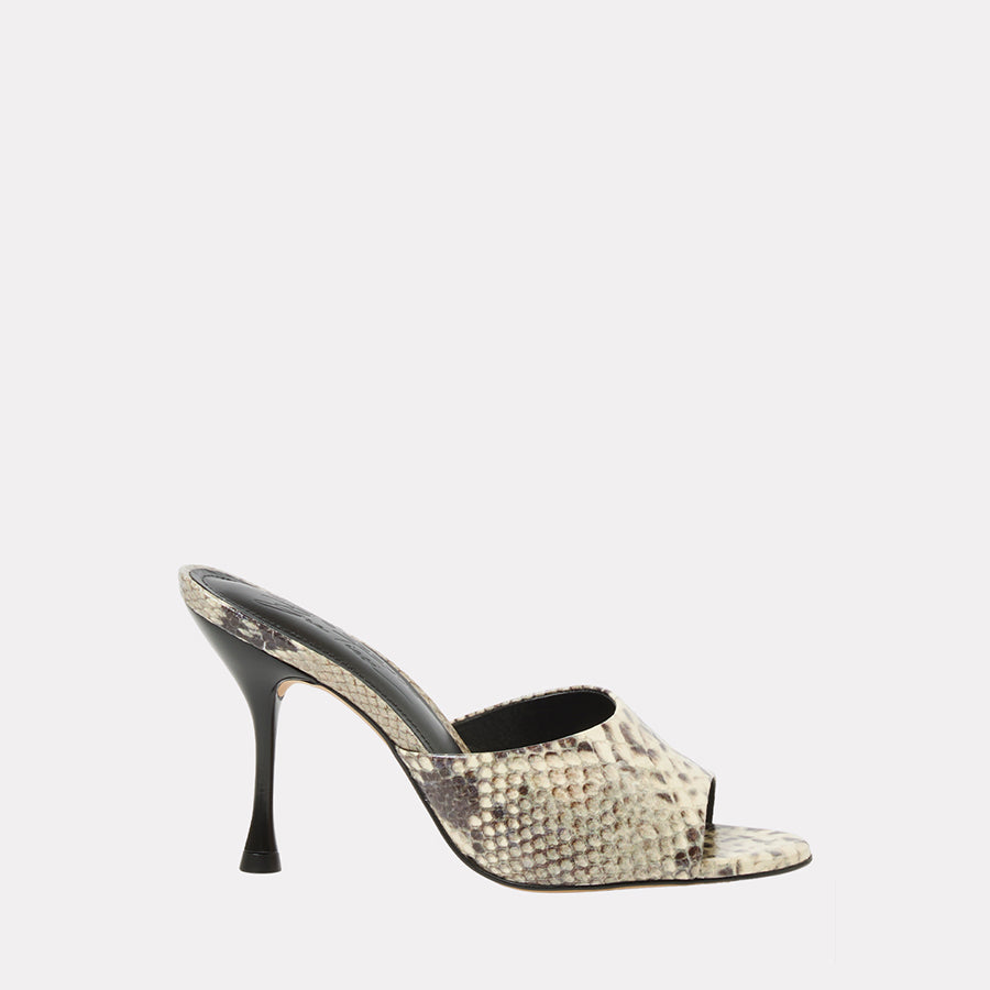 Eve Mule