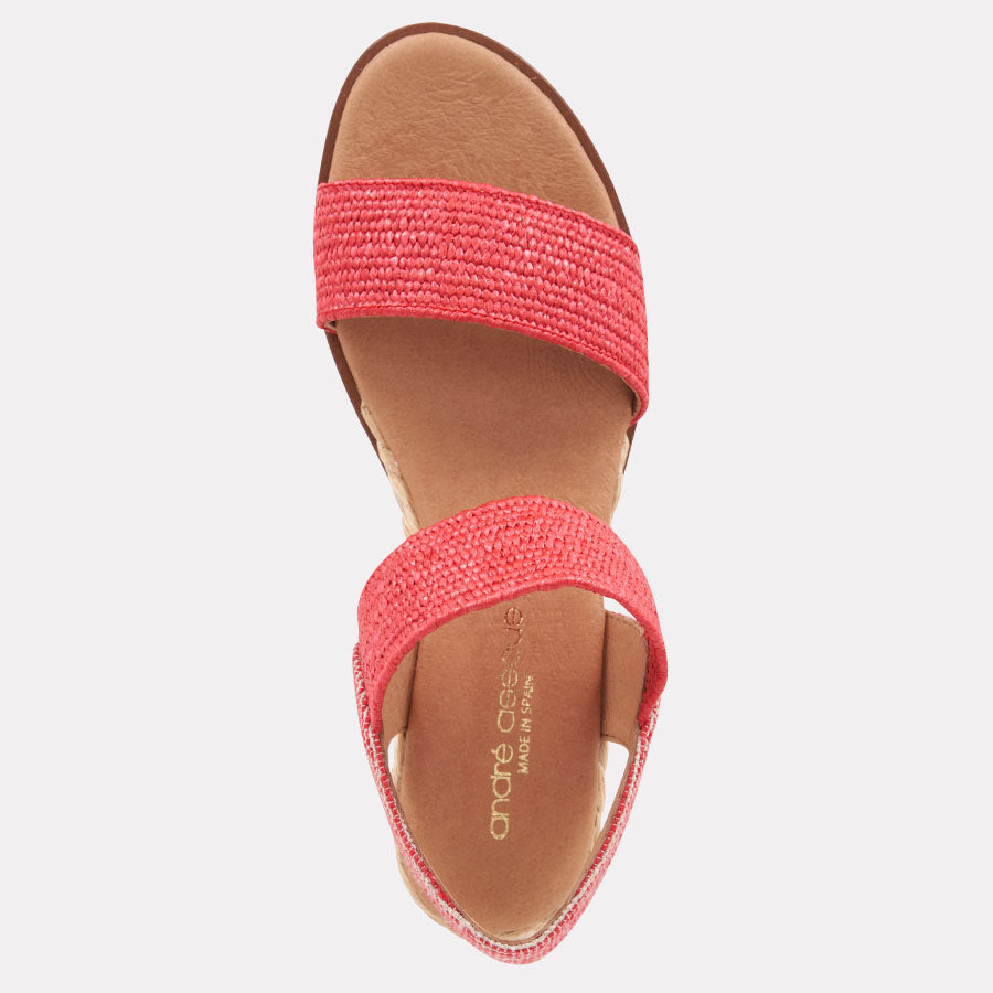 Neveah Stretch Raffia Wedge